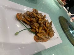 -金枝玉叶上海人家食府(三里河店)