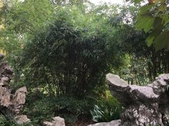 丁香花园-申粤轩酒楼·三十年粤菜经典(丁香花园店)