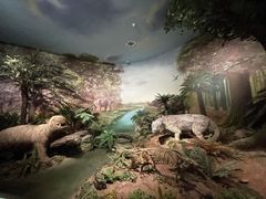 -湖南省地质博物馆