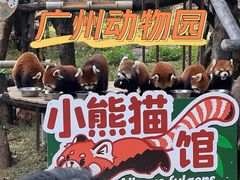 -广州动物园