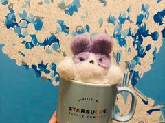 小兔紫星杯-星巴克(长沙桃子湖店)