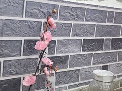 -天治宣·野椒鸡(龙头寺总店)