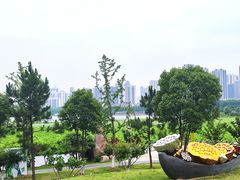 -月湖风景区