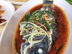 -锐记美食店·现捞海鲜(闸坡店)