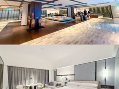 -新加坡乌节希尔顿酒店 (SG Clean)