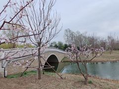 -东郊湿地公园
