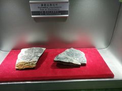-嘉荫恐龙国家地质公园