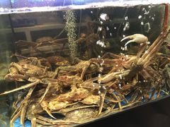 -蟹之国·精品蟹料理(极地店)