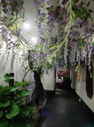 -盘子女人坊生日照·摄影馆(华强店)