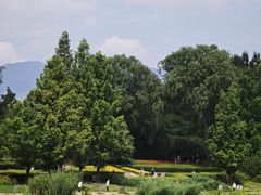 -北坞公园