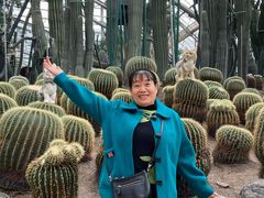-南山植物园