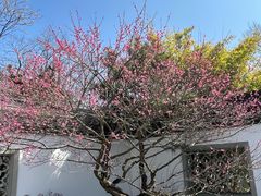 -杭州植物园