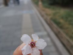 -卡本妮法餐厅·北京和平宾馆