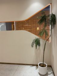 -Lily纤美·科技减脂中心