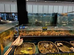 -龙宴海鲜城(经中路店)
