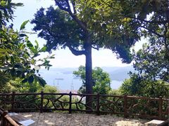 -梧桐山风景名胜区