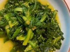 -席家花园(巨鹿花园店)