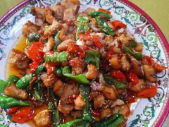 -煲来饱去冷水鱼