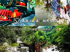 -九龙江国家森林公园