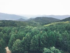 -阳台山自然风景区