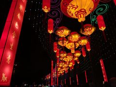 -武汉园博园(武汉自然博物馆)