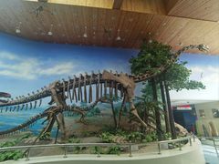 -延庆地质公园博物馆