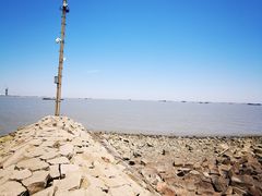 -上海滨江森林公园