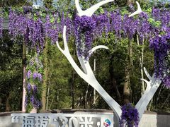 -趣飞飞黑麋峰国际滑翔伞基地