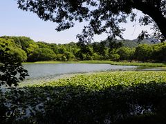 -西湖游船