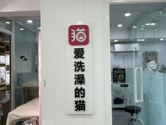 -爱洗澡的猫(望京店)