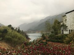 -自游人·美食一楼·地道徽菜(三十年名店)