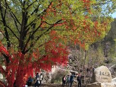 -本溪老边沟风景区