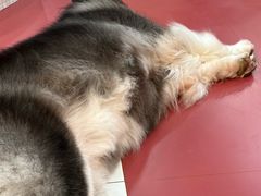 -和它·交个朋友·狗咖猫咖(爱琴海店)