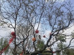 -府河摄影公园