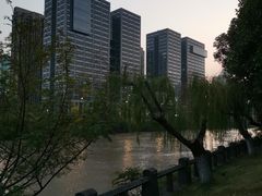 -运河游船(武林门码头)