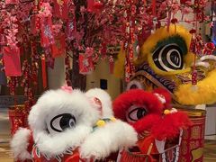 -长白山万达喜来登度假酒店