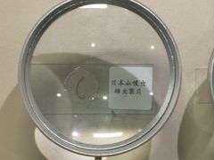 -四川大学博物馆