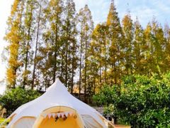 -前小桔亲子创意农场·草莓采摘·露营烧烤