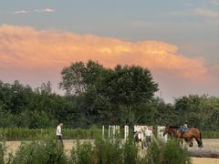 -北京群众马术培训基地