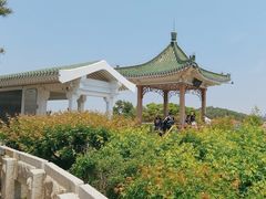 -青岛海滨风景区小鱼山