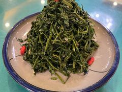 清香枸杞苗-国强手抓(西夏区店)