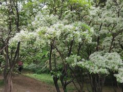 -国家植物园南园