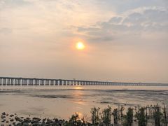 -宝安西湾红树林湿地公园