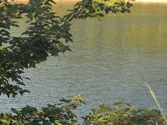 -贵阳市花溪国家城市湿地公园