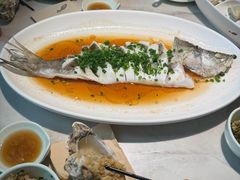 -船歌·鱼水饺青岛菜(闽江二路店)