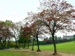 -紫马岭公园