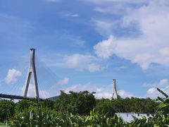 -芒洲湿地公园