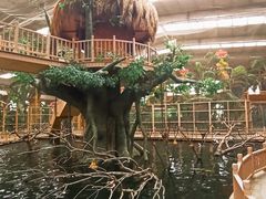 -南宫五洲植物乐园