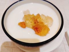 双皮奶-北海渔村酒楼·粤菜海鲜点心(新华店)