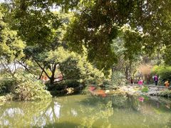 -成都市活水公园